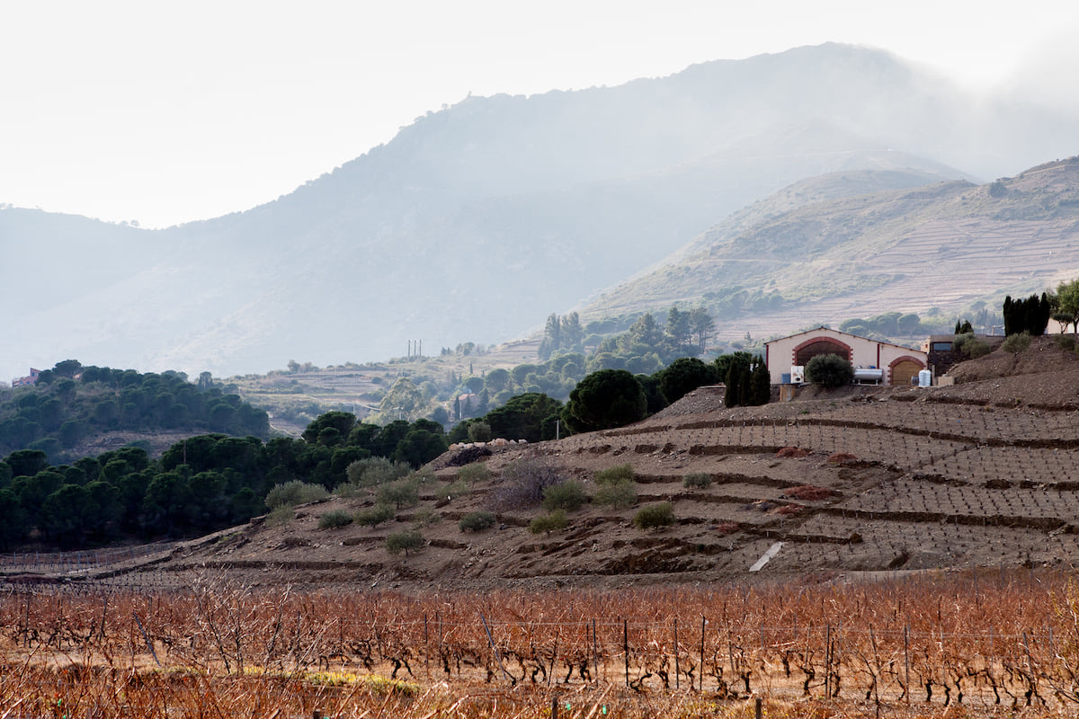 Domaine Coume del Mas / Mas Cristine