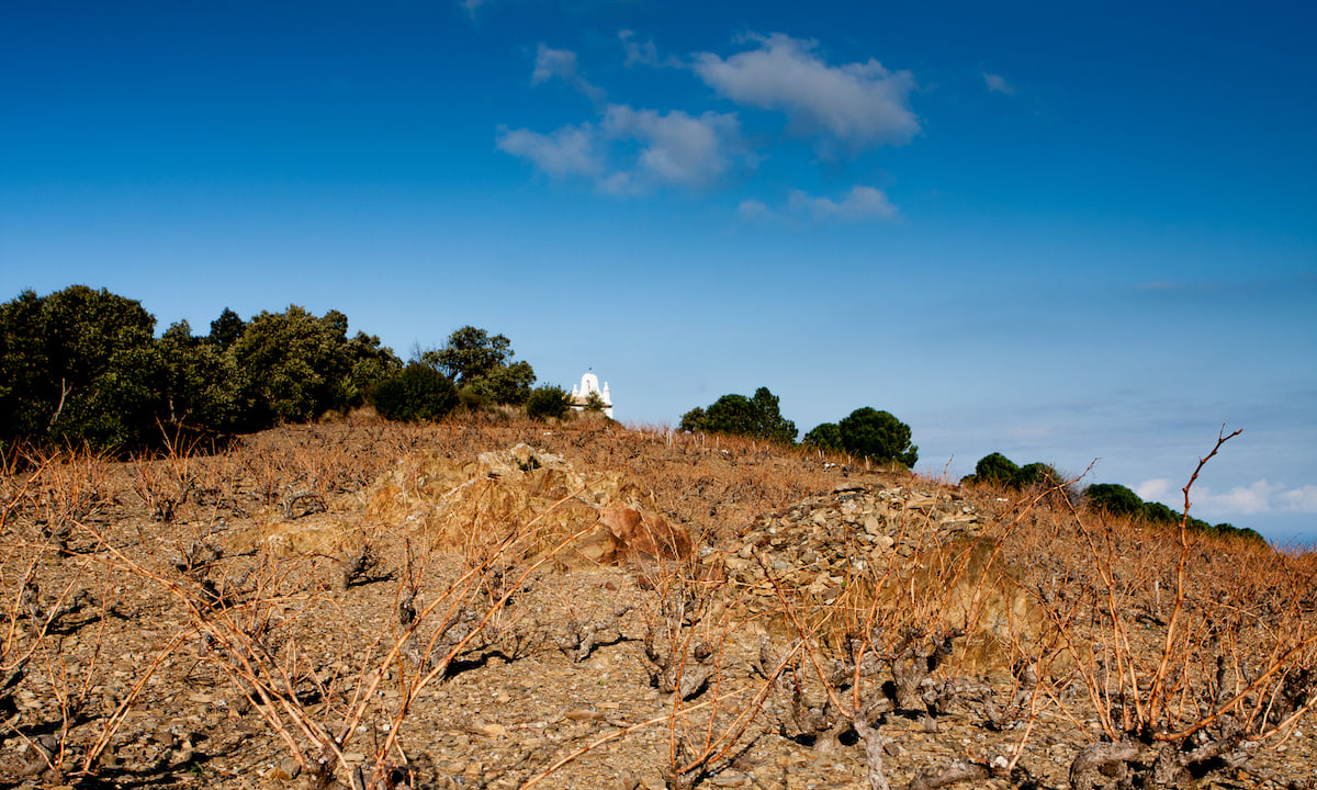 Domaine Coume del Mas / Mas Cristine