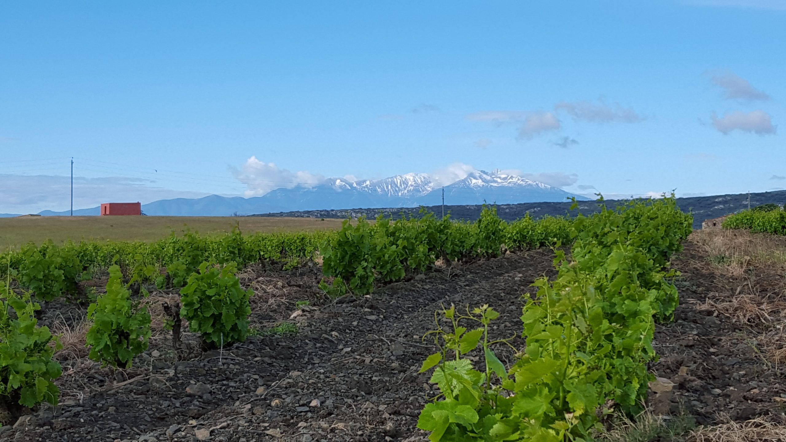 Domaine La Toupie